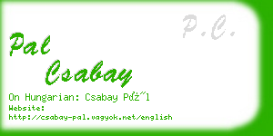 pal csabay business card